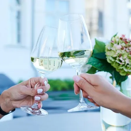 Schwan 02 Heiligendamm